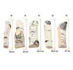 Polana dekoracyjne brzoza AkoWood - 5 sztuk